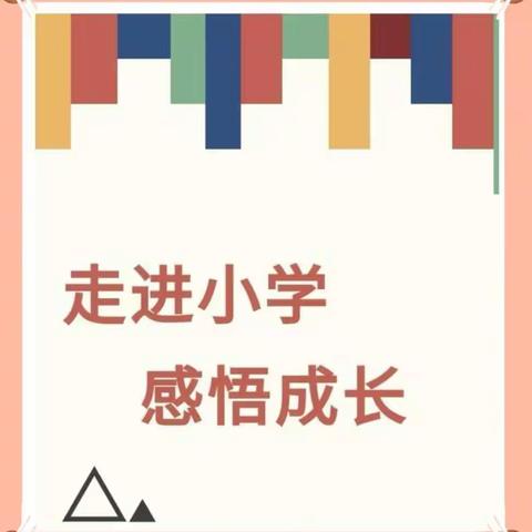 走进小学，感悟成长——杨官林镇中心幼儿园大一班参观小学活动