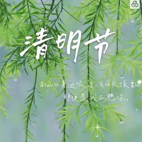 “清明融于情，传统润童心”春芽中班年级组教育活动💞