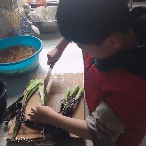 勤劳的小蜜蜂——桂花学校三（19）班