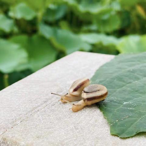 预防感冒