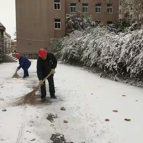 中共山东顺谊支部组织开展义务扫雪活动