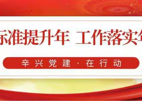 强落实 重执行——辛兴党建工作区迅速召开“标准提升年”“工作落实年”活动动员大会