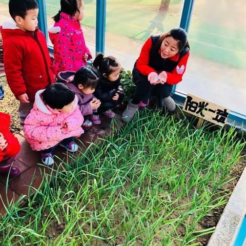 💐良乡双语字母幼儿园 💐     汤姆小菜园丰收啦🍆🥒