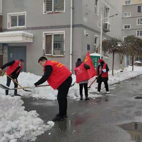 大青街道东胜村“扬党旗、融冰雪，让人民群众感受铁西温暖”活动