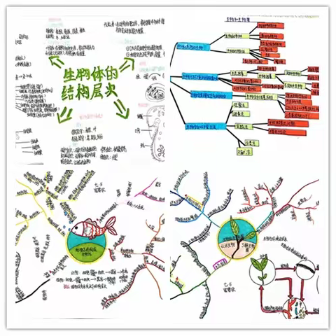 学而时习之，不亦说乎——九中教育集团石河子第九中学七年级生物思维导图活动