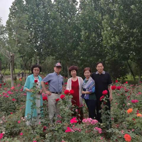 宇凡（宝山）的美篇  奔七的老顽童欢聚在南海园