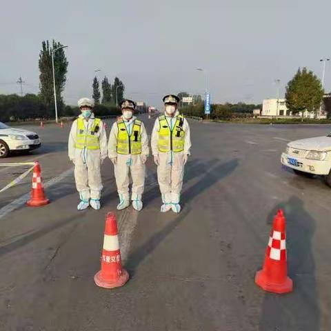 闻令而动      向疫而行