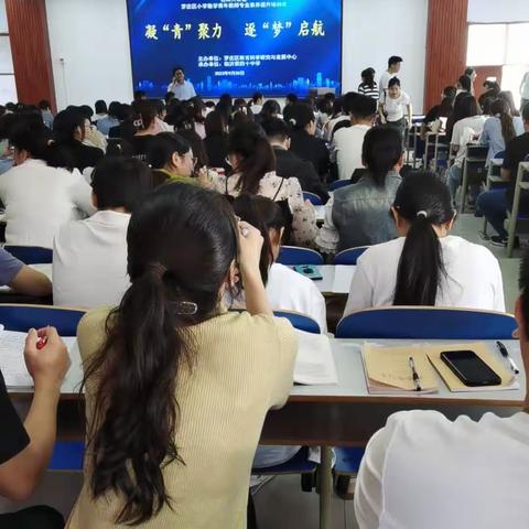 十字路口的指向标——数学新教师培训会心得体会