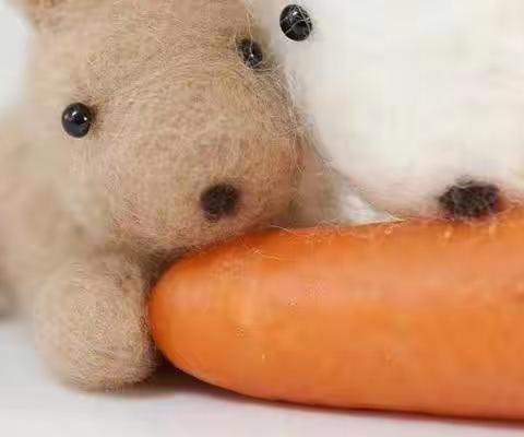 【麦凯德幼儿园】“抗击疫情，我们同在”小班线上微课第 十四  期“胡萝卜小船”