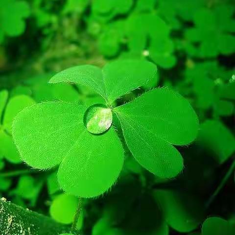 小美好时光机——潮河大班