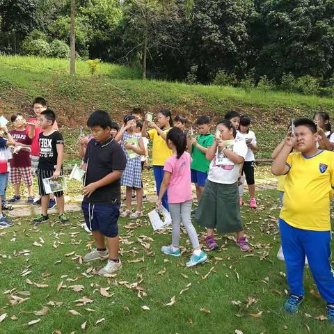 401自然课——测物体的高度角