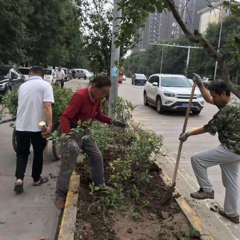 开发区迎十四运城市环境整治工作信息（三十三）