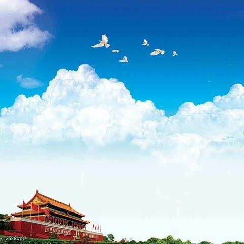 小松树中队在行动