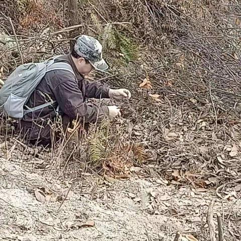 【中国绿都.最氧三明】 抢抓有利时机，做好造林林地准备工作