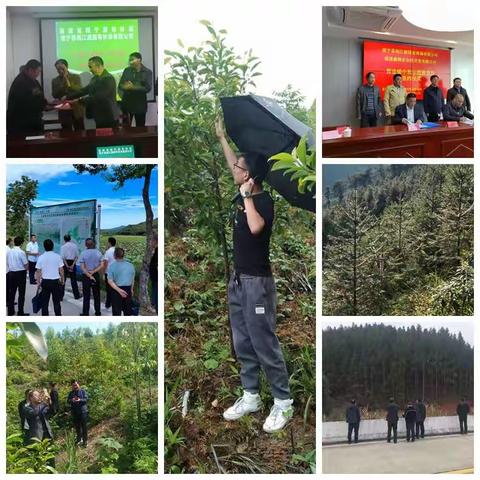 牢记嘱托，践行“绿水青山就是金山银山发展”理念 推进闽西北山地丘陵生物多样性保护项目建设