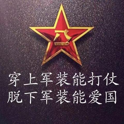 若有战，召必回！疫情面前永不退役——翠峰镇退役军人在行动