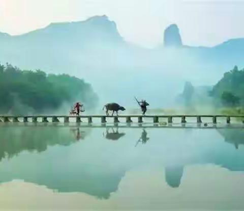 宅家畅游诗海，捕捉春天美景——中年段古诗赏析指导