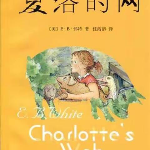 徜徉知识的海洋，汲取书籍的精髓——中年段整本书阅读指导