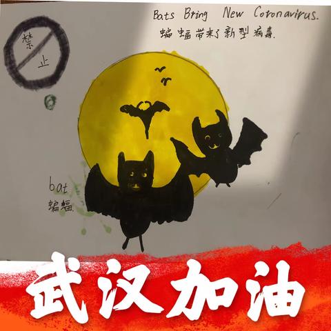 徐水小学  三（11）班赵泽轩