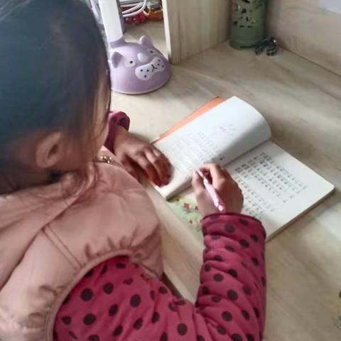 丰富多彩的假期生活———汀流河中心小学 薛乔兮