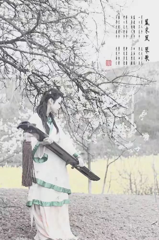 中国古典音乐系列之《凤求凰》