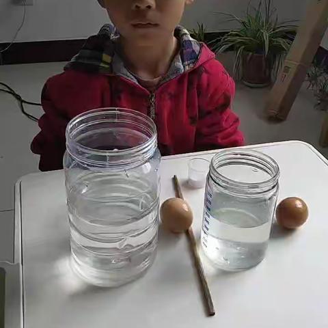 桃岭中心幼儿园大班居家生活小相册