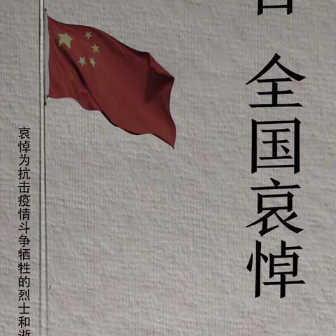 桃岭中心幼儿园居家生活和保教指导十五