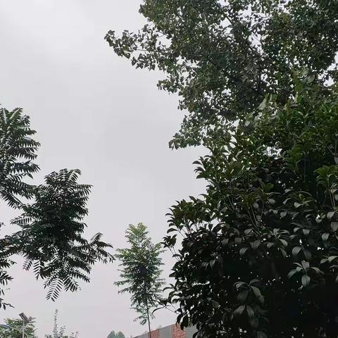 心如磐石的美篇