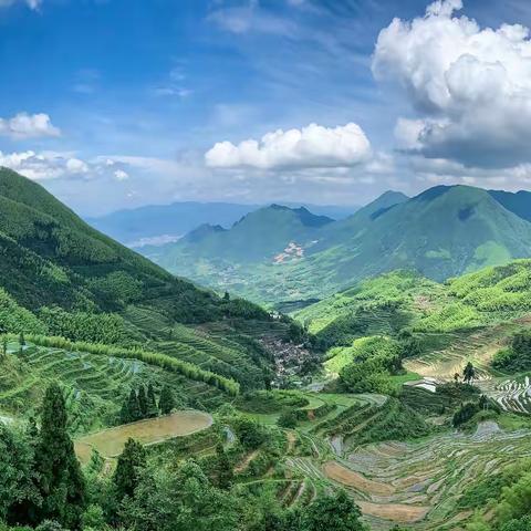 云和梯田