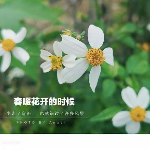 拥抱春天，探索自然