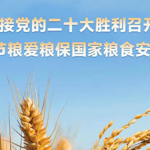 内蒙古人民银行系统“世界粮食日”和“全国粮食安全宣传周”主题宣传