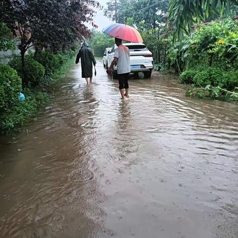 【“三零”创建】庞寨乡孙庄村：同心防溺水 安全度暑假