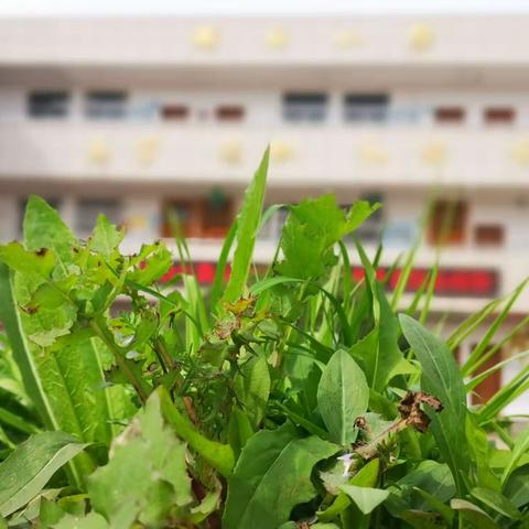 如何应对“在线授课”引发的焦虑？