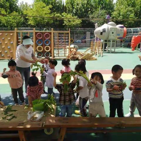 东营区胜利机厂幼儿园托班【当食物遇上冷餐会】