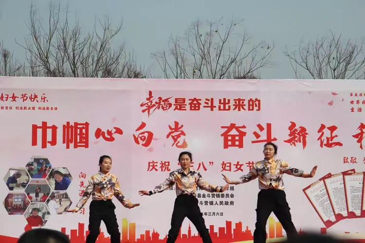 巾帼心向党,奋斗新征程