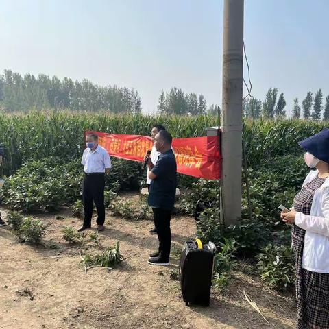 漯河市（召陵区）大豆玉米带状复合种植技术现场观摩会在青年镇举行