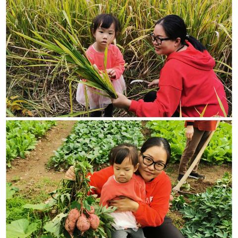 记录秋天的美好——小班旅程