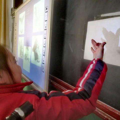 【城内小学】自然博物社团【光和影】课程回顾