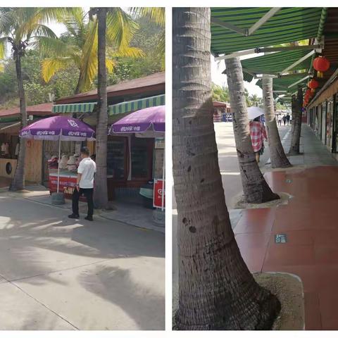 市旅文局前往南山景区、大小洞天风景区开展疫情防控、禁塑、垃圾分类及创文巩卫专项检查