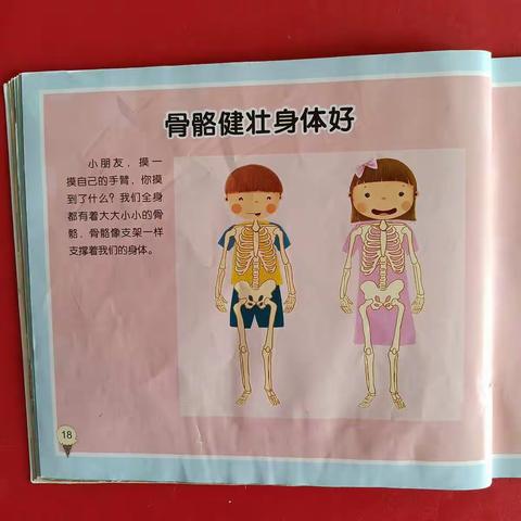 同兴幼儿园大班第十六周课程反馈：