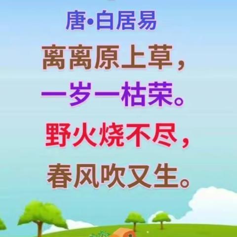 棉花庄幼儿园宅“宅”家教育建议（十三）