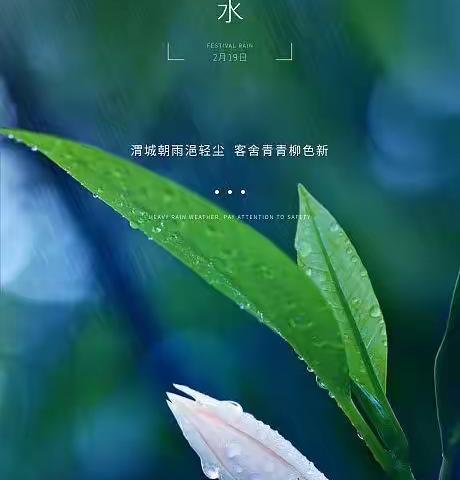 传承中华传统文化：二十四节气之“雨水”教师学习