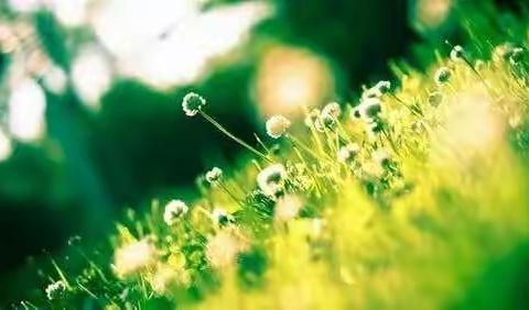 汝州市煤山街道中心幼儿园大班4月22日——“宅家不慌 缤纷课堂”亲子活动安排