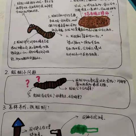 “遇见动物”课程故事