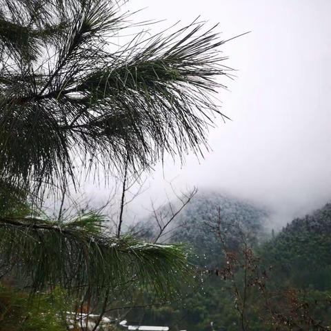 亲友团壬寅春节金鼎山游雪