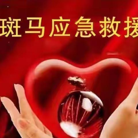 风雨无阻的斑马人