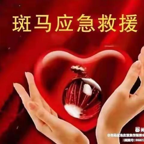 斑马救援风雨无阻