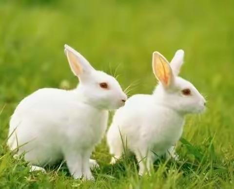 体能《我会跳》