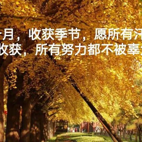 成长                                                    ——语文教研组活动