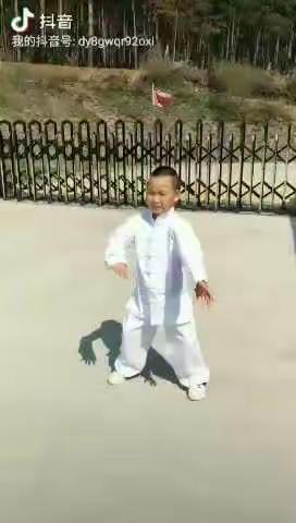 艺上云端——陈氏太极拳